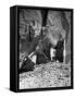 Antelope Ruin - Canon del Muerto-Edward S. Curtis-Framed Stretched Canvas