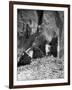 Antelope Ruin - Canon del Muerto-Edward S. Curtis-Framed Photographic Print