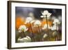 Antelope Valley I-Janice Sullivan-Framed Giclee Print