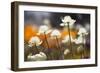 Antelope Valley I-Janice Sullivan-Framed Giclee Print