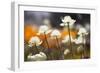 Antelope Valley I-Janice Sullivan-Framed Giclee Print