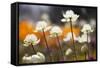 Antelope Valley I-Janice Sullivan-Framed Stretched Canvas