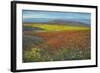 Antelope Valley-Tim O'toole-Framed Giclee Print