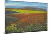 Antelope Valley-Tim O'toole-Mounted Giclee Print