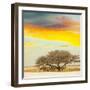 Antelope-Andrushko Galyna-Framed Photographic Print