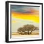 Antelope-Andrushko Galyna-Framed Photographic Print