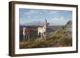 Antelope-Albert Bierstadt-Framed Giclee Print