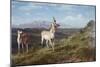 Antelope-Albert Bierstadt-Mounted Giclee Print
