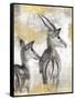 Antelope-Dina Peregojina-Framed Stretched Canvas