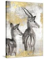 Antelope-Dina Peregojina-Stretched Canvas