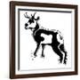 Antelope-Josh Byer-Framed Giclee Print