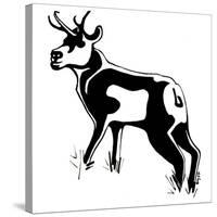 Antelope-Josh Byer-Stretched Canvas
