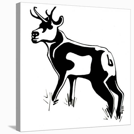 Antelope-Josh Byer-Stretched Canvas