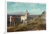 Antelope-Albert Bierstadt-Framed Giclee Print