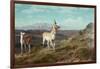 Antelope-Albert Bierstadt-Framed Giclee Print