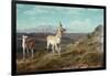 Antelope-Albert Bierstadt-Framed Giclee Print