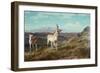 Antelope-Albert Bierstadt-Framed Giclee Print