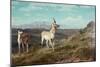 Antelope-Albert Bierstadt-Mounted Giclee Print