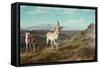 Antelope-Albert Bierstadt-Framed Stretched Canvas