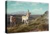 Antelope-Albert Bierstadt-Stretched Canvas