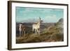 Antelope-Albert Bierstadt-Framed Giclee Print