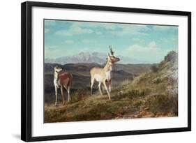 Antelope-Albert Bierstadt-Framed Giclee Print