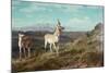 Antelope-Albert Bierstadt-Mounted Giclee Print