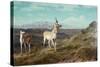 Antelope-Albert Bierstadt-Stretched Canvas