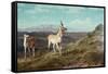 Antelope-Albert Bierstadt-Framed Stretched Canvas