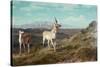 Antelope-Albert Bierstadt-Stretched Canvas