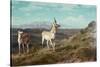 Antelope-Albert Bierstadt-Stretched Canvas