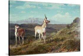 Antelope-Albert Bierstadt-Stretched Canvas