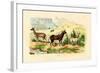 Antelopes, 1833-39-null-Framed Giclee Print