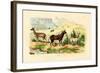 Antelopes, 1833-39-null-Framed Giclee Print