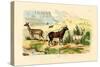 Antelopes, 1833-39-null-Stretched Canvas