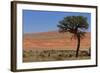 Antelopes in the Namib Desert-Circumnavigation-Framed Photographic Print