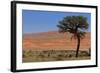 Antelopes in the Namib Desert-Circumnavigation-Framed Photographic Print