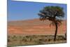 Antelopes in the Namib Desert-Circumnavigation-Mounted Photographic Print