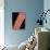 Antenna of Female Ermine Moth-Micro Discovery-Stretched Canvas displayed on a wall