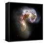 Antennae Galaxies, HST Image-null-Framed Stretched Canvas