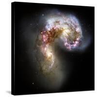 Antennae Galaxies, HST Image-null-Stretched Canvas