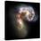 Antennae Galaxies, HST Image-null-Stretched Canvas