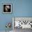 Antennae Galaxies, HST Image-null-Framed Premium Photographic Print displayed on a wall