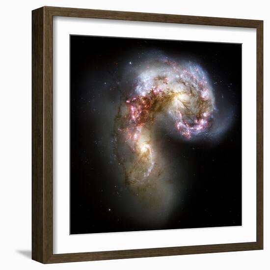 Antennae Galaxies, HST Image-null-Framed Premium Photographic Print