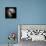 Antennae Galaxies, HST Image-null-Mounted Premium Photographic Print displayed on a wall