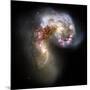 Antennae Galaxies, HST Image-null-Mounted Photographic Print