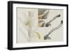 Antennularia: Hydrozoan-Philip Henry Gosse-Framed Giclee Print