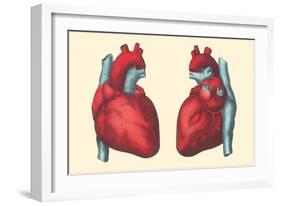 Anterior and Posterior Views of the Heart-null-Framed Art Print