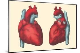 Anterior and Posterior Views of the Heart-null-Mounted Art Print