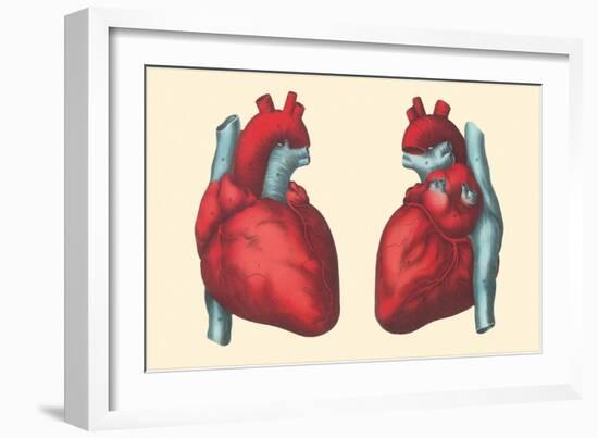 Anterior and Posterior Views of the Heart-Found Image Press-Framed Giclee Print